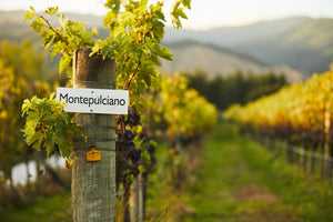 Beyond Montepulciano
