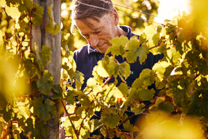 Post Harvest Interview with Hans Herzog