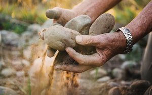 Vineyard Talk - Dry Farming or Irrigation