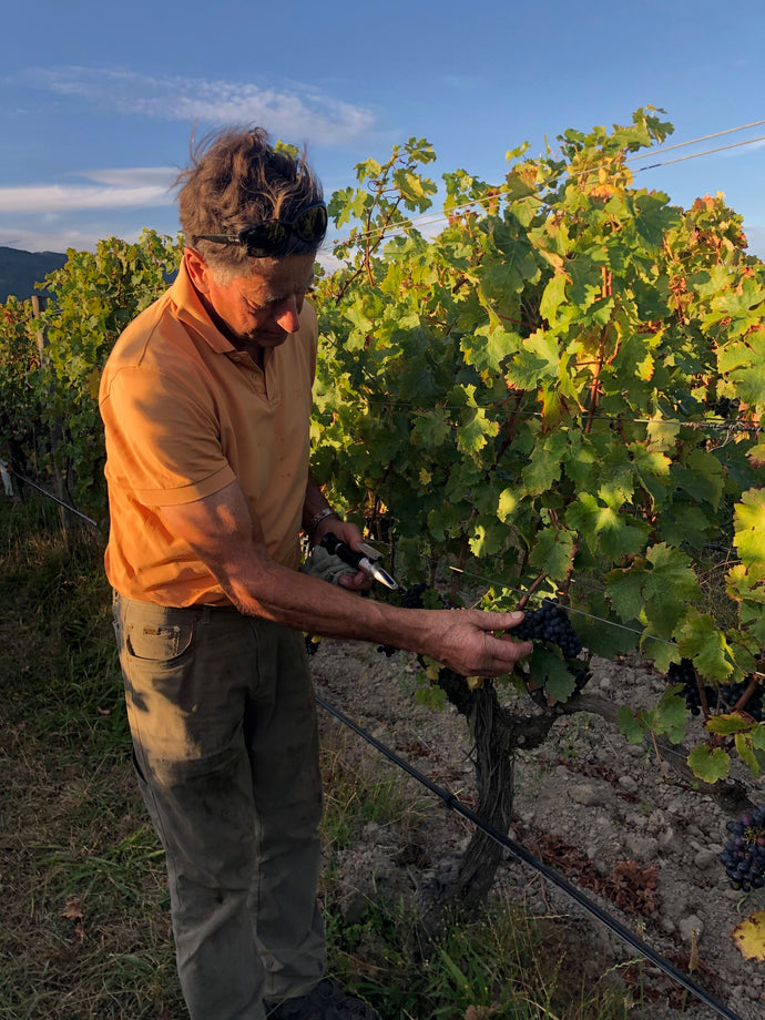 Wine Talk - Bordeaux Blends
