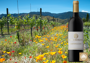 When a name is not enough: Marlborough’s Identity Crisis