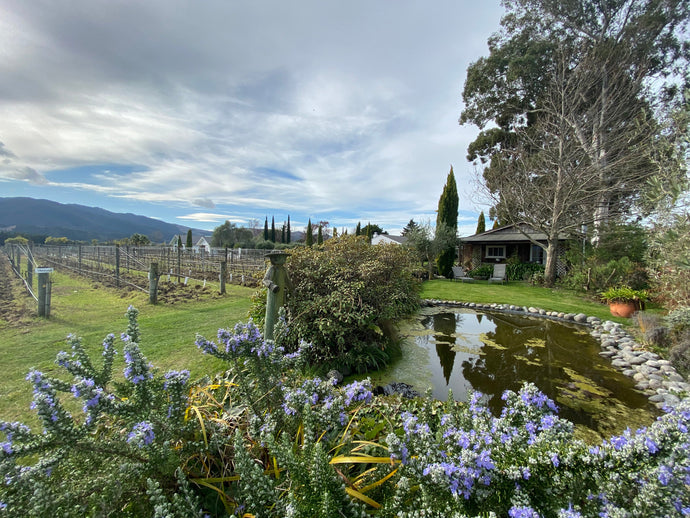 Vineyard Cottage - Two Night Romantic Package