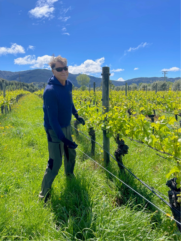 Vineyard talk - Embracing the Rhythms of Vintage 2024