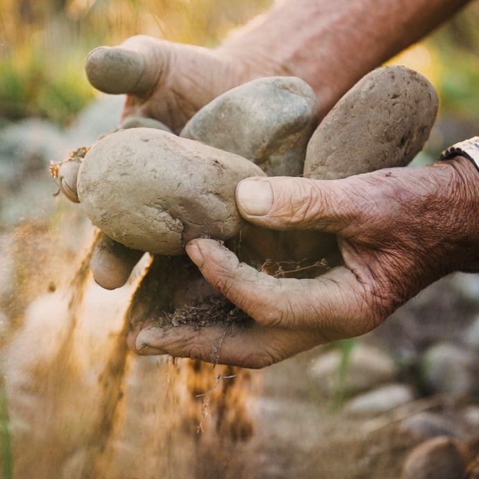 From Bordeaux to Marlborough : The Terroir