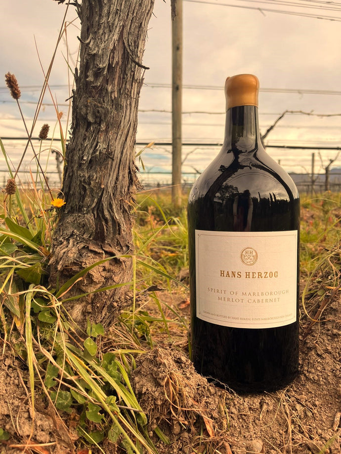 Discover the Magic of Large Format Wine Bottles!
