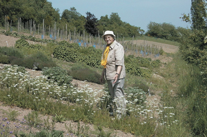 Discover one of Hans' Secret : Maria Thun's Calendar !